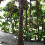 Casa De Las Olas sustainable beach villas in Tulum mexico