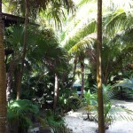 Casa De Las Olas sustainable beach villas in Tulum mexico12