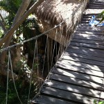 I will walk on it. I love this suspension bridge at my place in play del carmen3