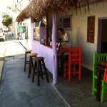 Jugolandia has a beautiful natural seating area to enjoy fresh juice in playa del carmen