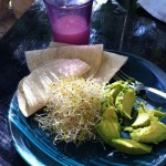 My Breakfest: Sprouts, Tortillia and avacados with some pro-biotic yogurt in playa del carmen quintana roo