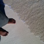 Standing before Walking to Casa Del Las Olas in Tulum Mexico on the beach