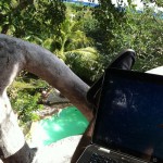This is paradise in Playa Del Carmen, Mexico me with my laptop3