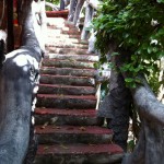 This is paradise in Playa Del Carmen, Mexico relaxing5