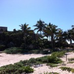 Tulum Ruins in Mexico