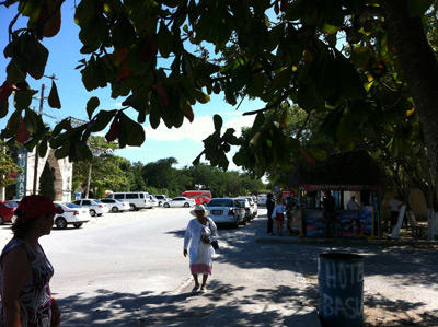 Colectivo stopped at Road near the Tulum Ruins in Mexico2