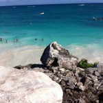 Iguana over rock and cliff in Tulum Mexico Mayan Ruins1