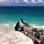 Iguana over rock and cliff in Tulum Mexico Mayan Ruins