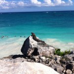 Iguana over rock and cliff in Tulum Mexico Mayan Ruins pyramid