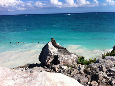 Iguana over rock and cliff in Tulum Mexico Mayan Ruins pyramid