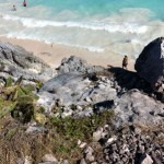 Tulum Mexico Mayan Ruins View Of Beach and an Iguana