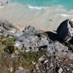 Tulum Mexico Mayan Ruins View Of Beach and an Iguana