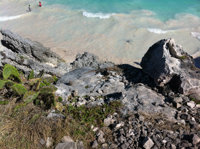 Tulum Mexico Mayan Ruins View Of Beach and an Iguana