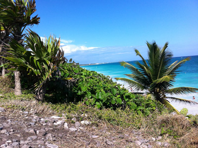 Tulum Mexico Mayan Ruins View Of Beach