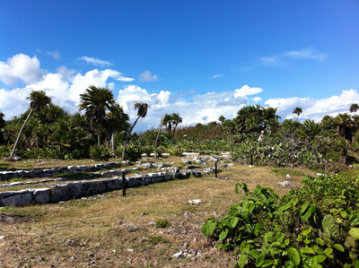 Tulum Ruins in Mexico land site