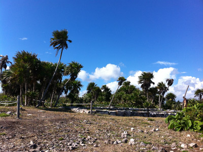 Tulum Ruins in Mexico